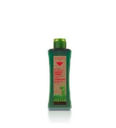BIOKERA SHAMPOING ANTI CHUTE 300ml